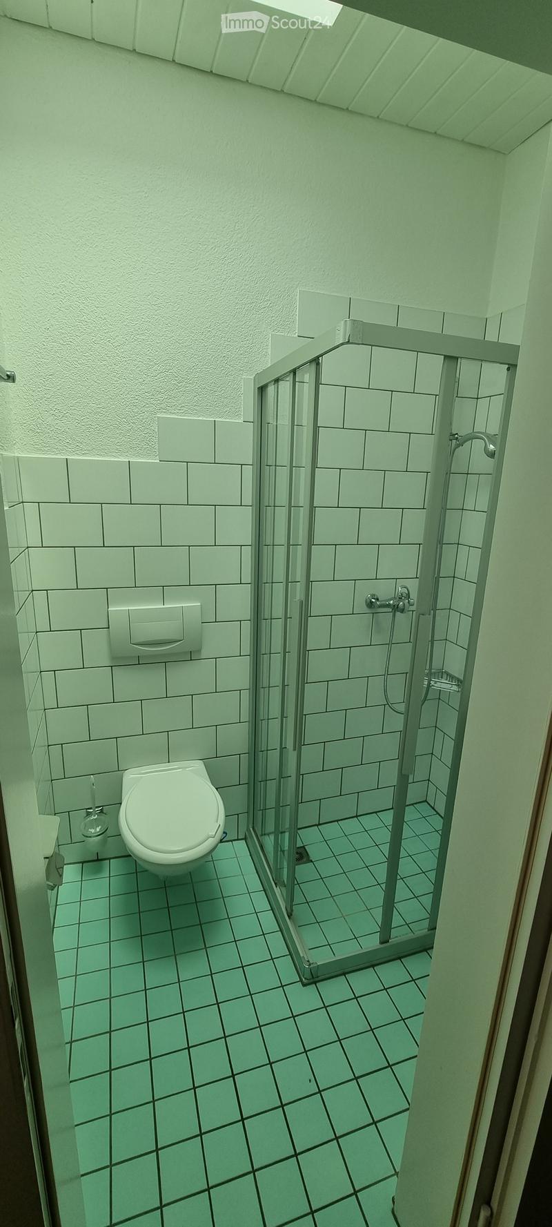 Modern bathroom with white tiled walls and floor, featuring a toilet, a glass-enclosed shower, and a chrome faucet.