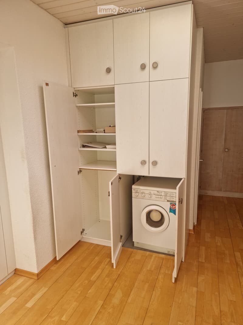 A small hallway with a built-in cabinet housing a washing machine, wooden flooring, and white walls.