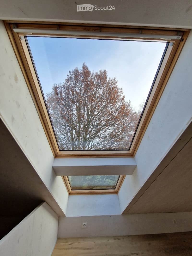 An unfurnished room with a skylight window showing a tree outside, wooden floor, and white walls.