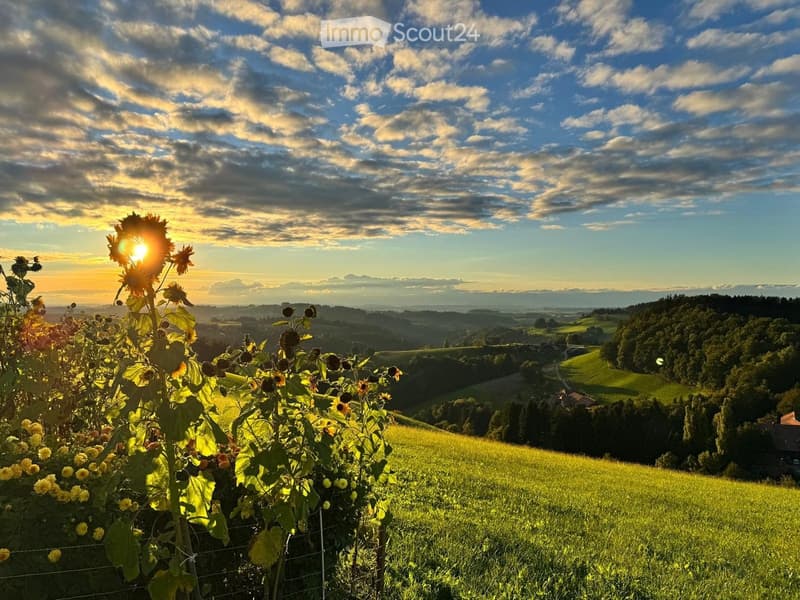 A scenic view of a lush green field with sunflowers in the foreground, rolling hills, and a partly cloudy sky with the sun shining brightly.