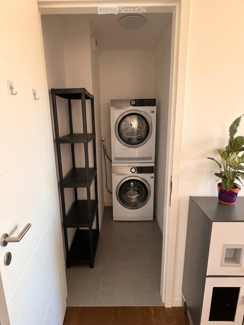 A narrow hallway leads to a compact laundry area with a stacked washing machine and dryer, a black shelving unit, and a small potted plant on a cabinet.