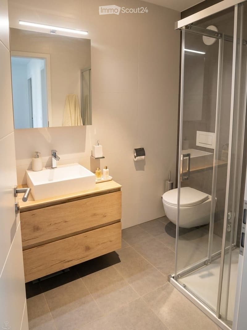 Modern bathroom with a white sink, wooden cabinet, large mirror, glass-enclosed shower, and toilet. Includes a towel and soap dispenser.