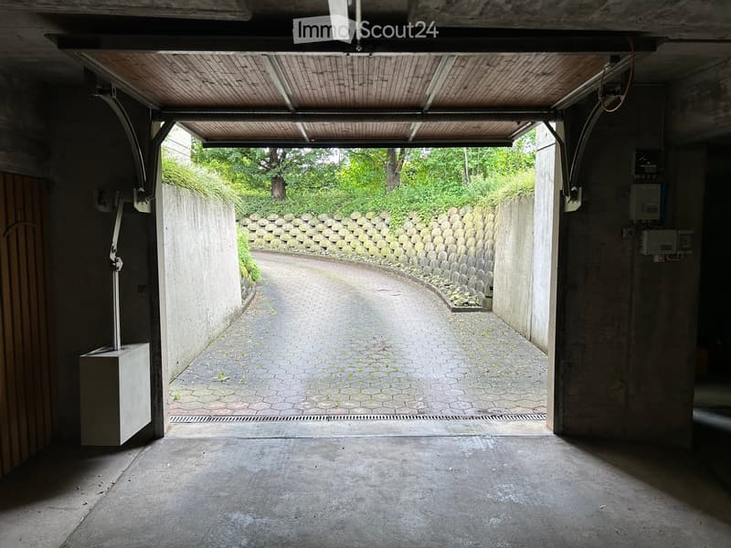 Garage with an open door leading to a paved pathway surrounded by a stone wall and greenery.