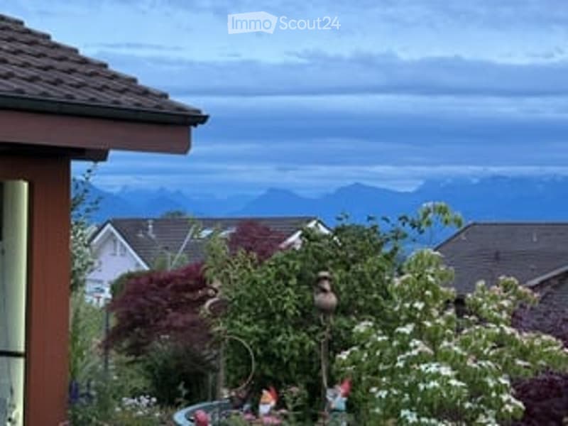 A garden area with a bird feeder, various plants, and a view of mountains in the background.
