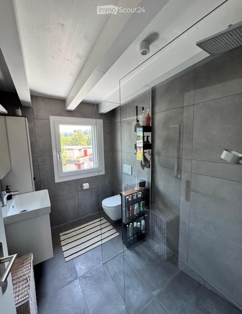 Modern bathroom with grey tiles, a glass-enclosed shower, a white toilet, a sink with a chrome faucet, a mirror, and a small shelf holding toiletries. The room features a skylight window and a striped rug on the floor.