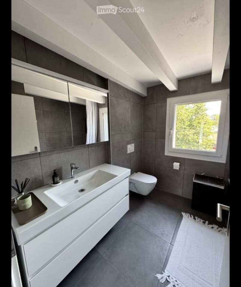 Modern bathroom with a large sink, toilet, mirror, and cabinet. The room features dark grey tiles and a window letting in natural light.