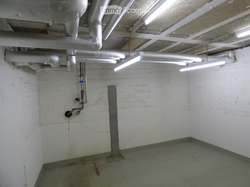 Empty basement space with concrete floor, white brick walls, exposed pipes, and fluorescent lighting.