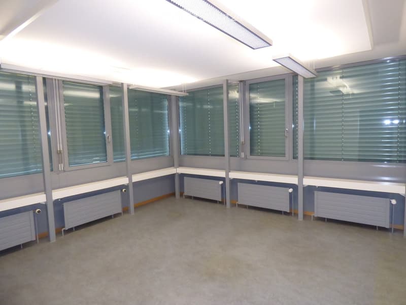 Empty room with grey carpet, large windows with blinds, radiators along the walls, and modern lighting fixtures.
