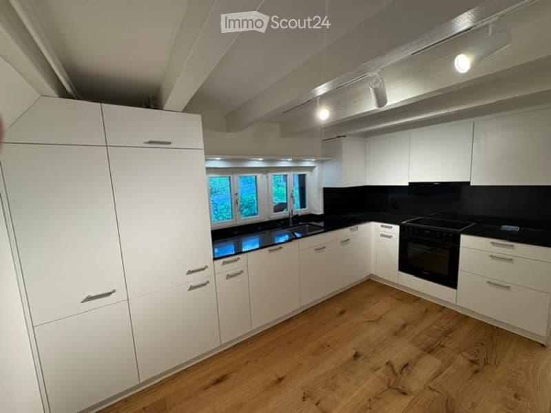 Modern kitchen with white cabinets, black countertops, wooden flooring, and stainless steel appliances.