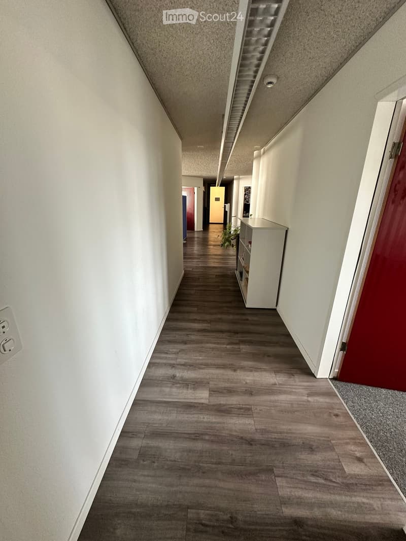 A clean, modern hallway with wooden flooring, white walls, and a small plant on a shelf to the right. The hallway leads to several doors, including a red door on the right and a yellow door in the distance.