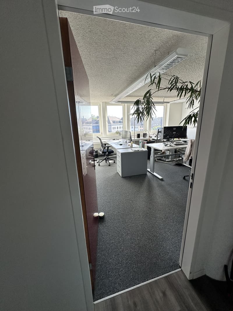 Office space with desks, chairs, computers, and a large plant near the window.