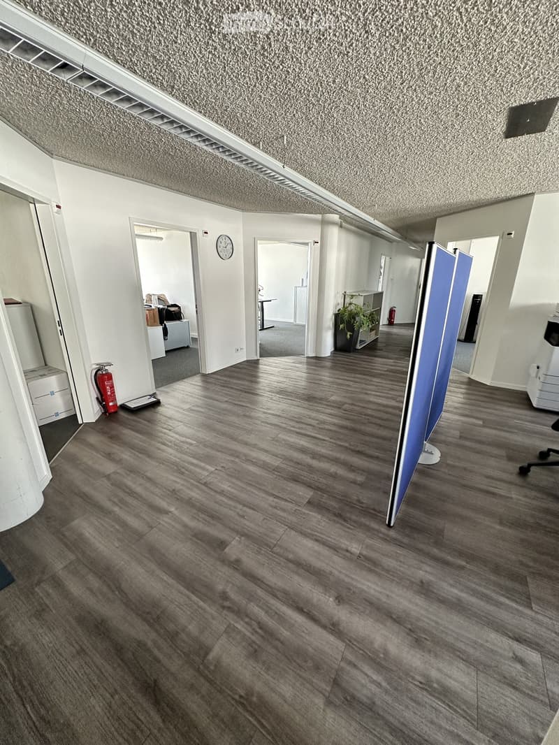 Empty hallway with wooden flooring, white walls, and several doors leading to other rooms. There are a few items like a fire extinguisher and a plant in the background, but the main space is unfurnished.