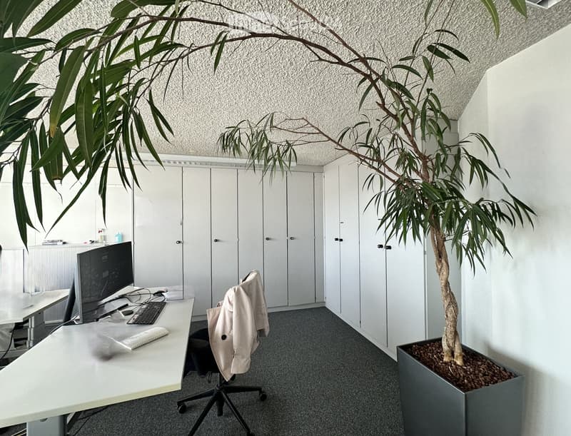 Modern office space with a white desk, computer setup, office chair, potted plant, and white cabinets.