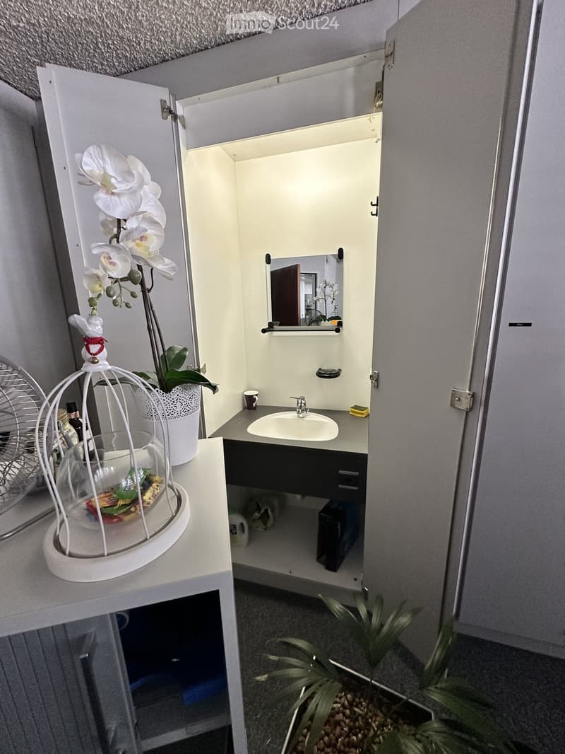Modern bathroom with a white sink, mirror, and a potted orchid on a shelf. A small cabinet with a mirror is visible, and a decorative birdcage with a plant sits on a counter.