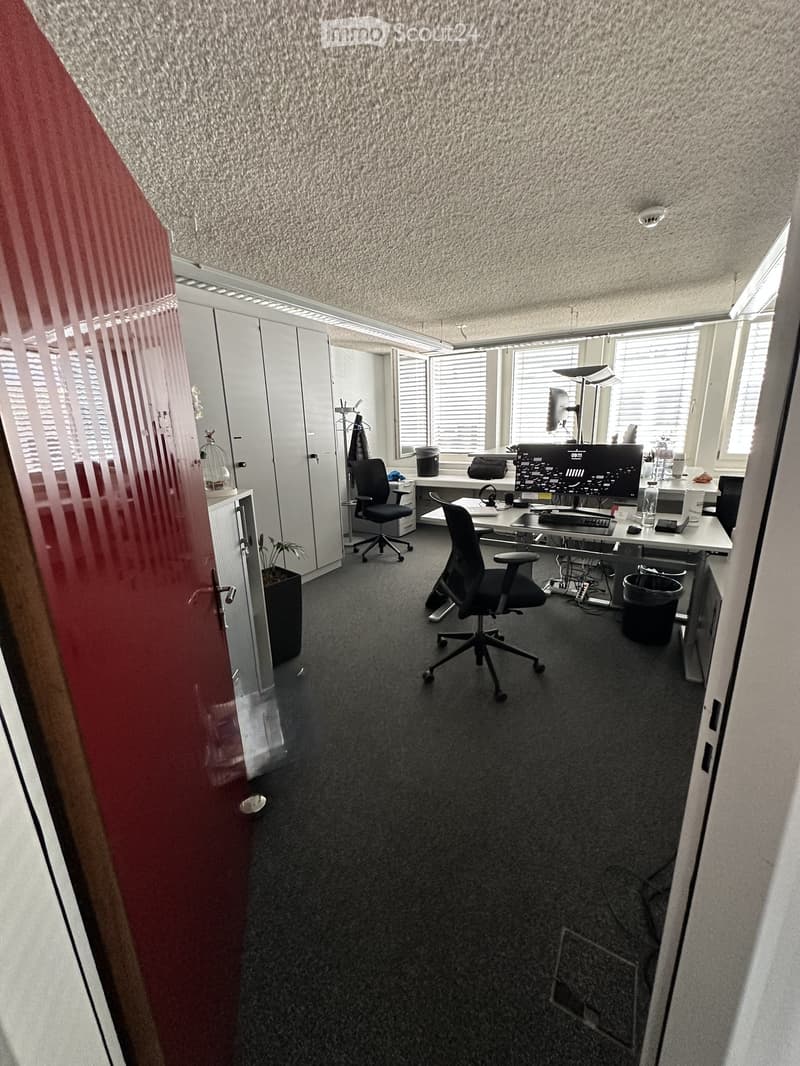 Office space with two desks, chairs, computer screens, cabinets, and a small plant near the door.