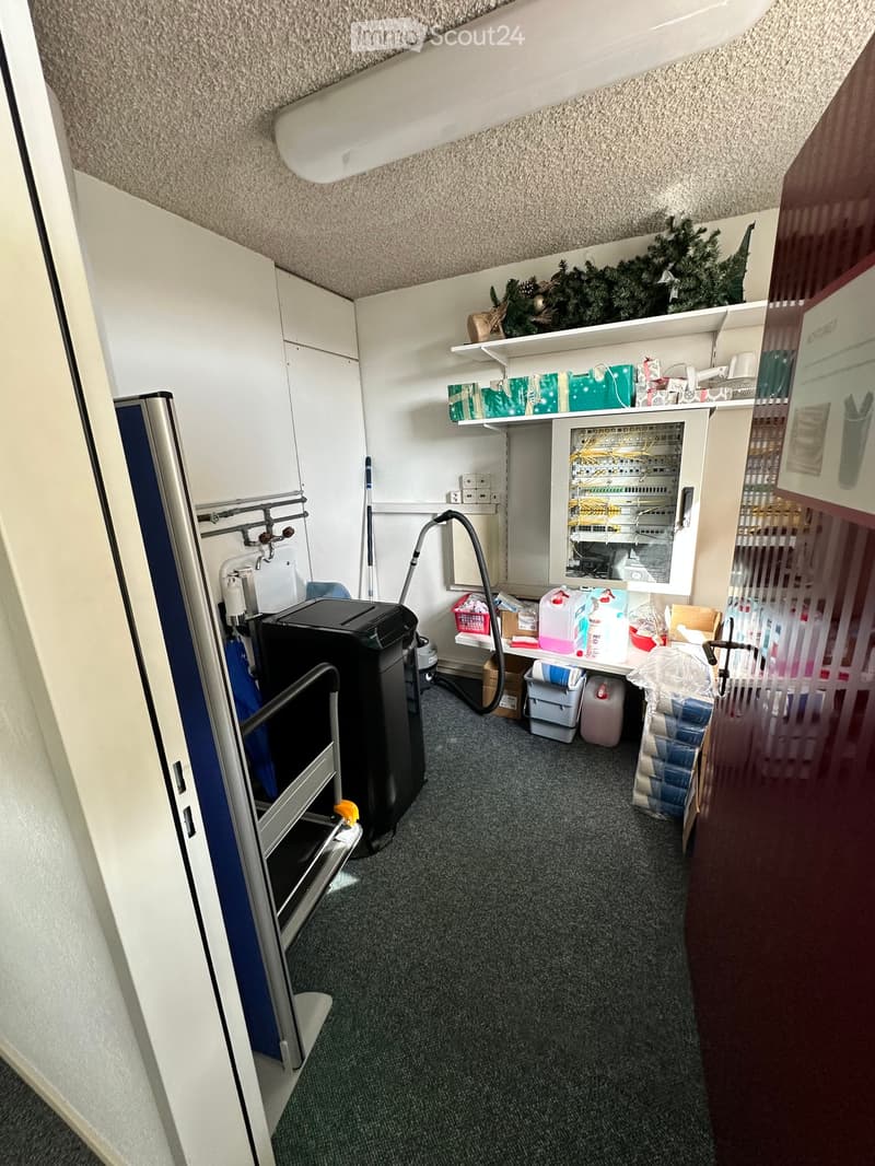 Utility room with shelves, a printer, storage bins, cleaning supplies, a network rack, and Christmas decorations on the shelves.