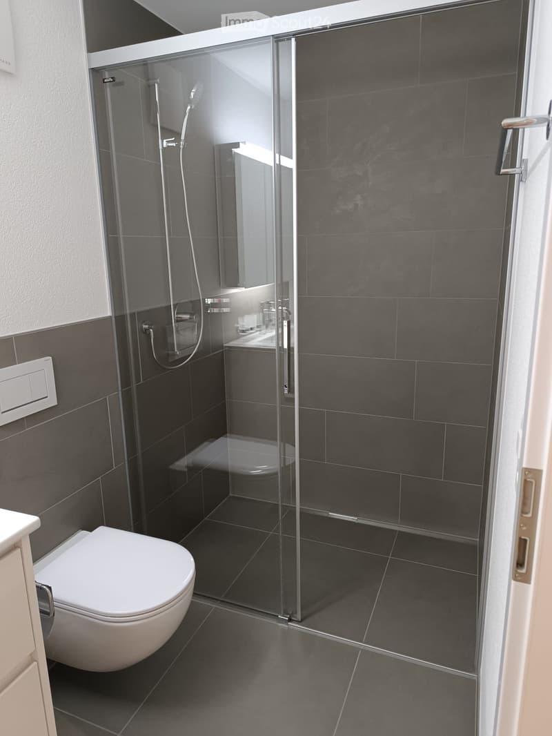 Modern bathroom with dark grey tiles, a white toilet, a glass-enclosed shower, and a sink with a mirror.