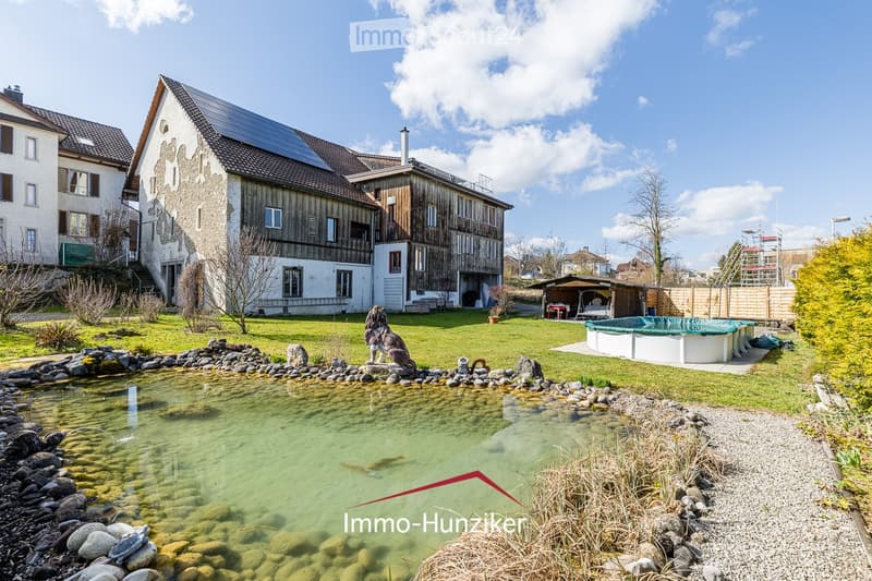 A well-maintained garden area with a small pond, a stone lion statue, a wooden fence, a covered patio, and a swimming pool. The surrounding area includes a mix of residential buildings with solar panels on the roofs.