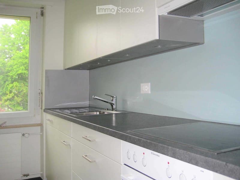 Modern kitchen with white cabinets, grey countertop, stainless steel sink, and built-in stove.