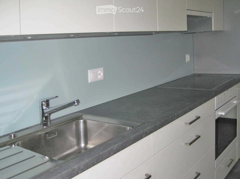 Modern kitchen with stainless steel sink, faucet, and white cabinets.