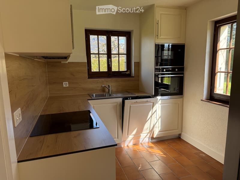 Magnifique villa 6,5 pièces / wunderschönes 6,5 Einfamilienhaus (3)