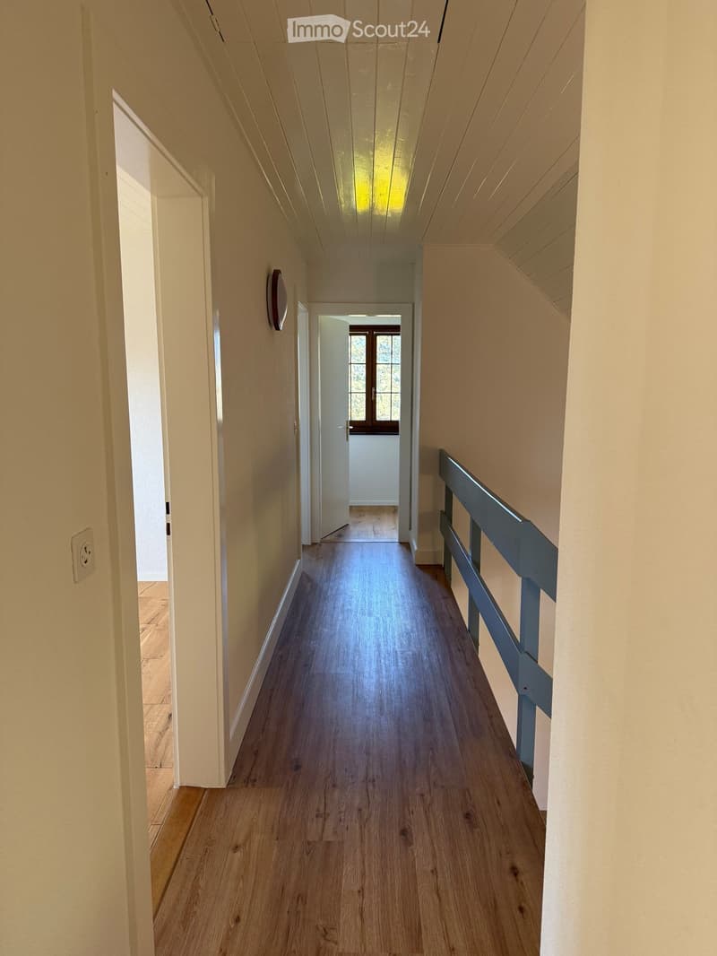 Magnifique villa 6,5 pièces / wunderschönes 6,5 Einfamilienhaus (6)