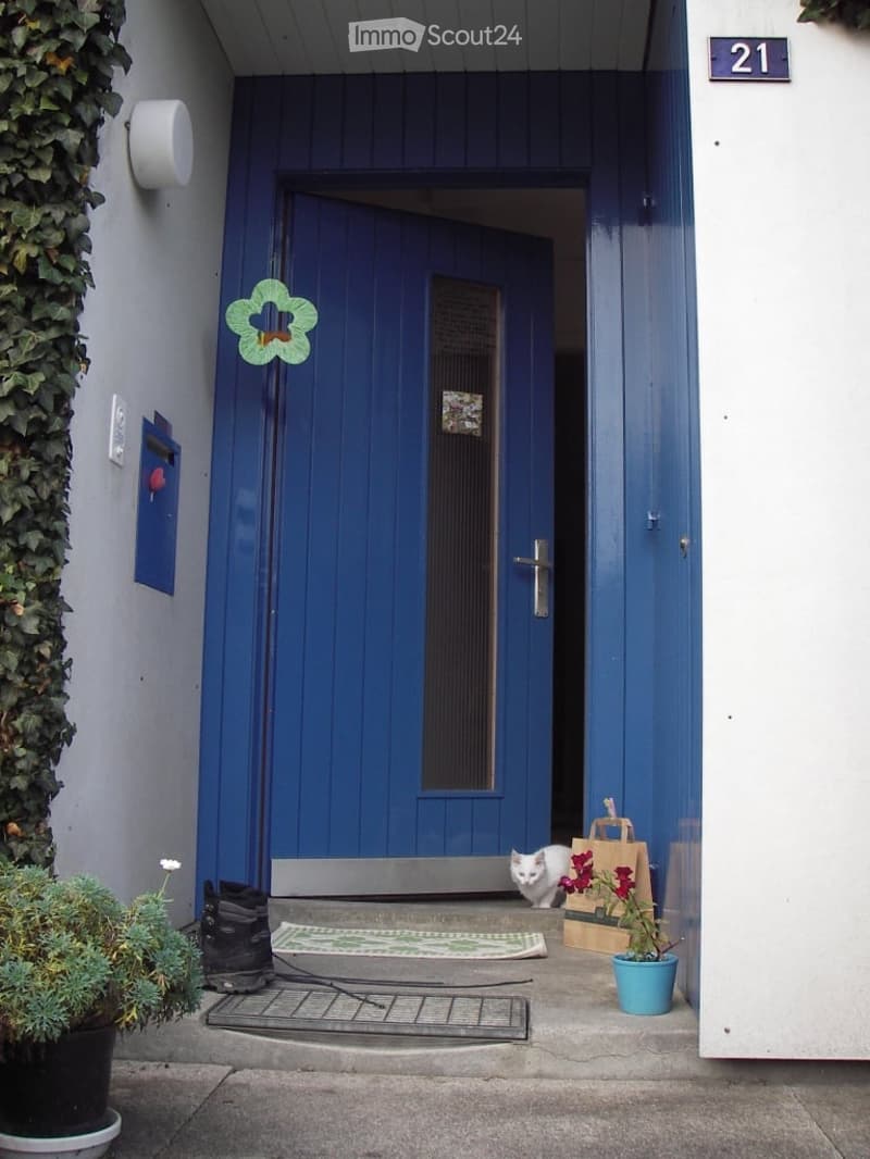 Front entrance with a blue door, a small doormat, a potted plant, and a cat near the door.