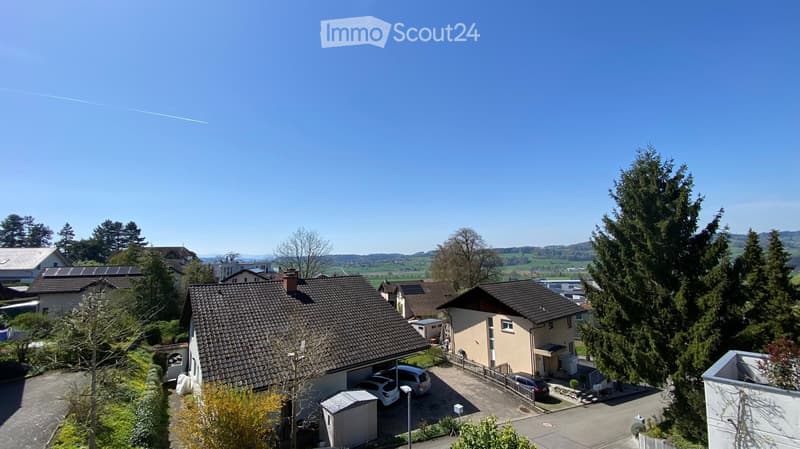 Houses with brown roofs, cars parked in front, trees, bushes, clear sky, distant mountains