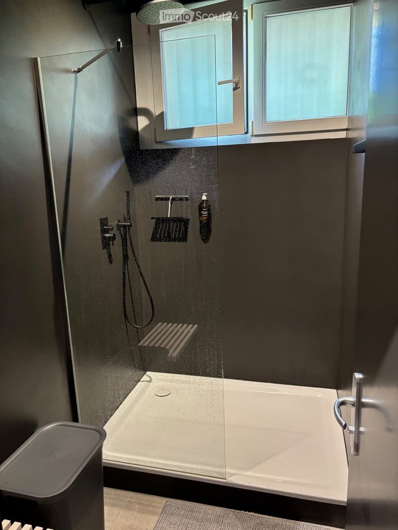 Modern bathroom with a large bathtub, glass-enclosed shower area, and a handheld showerhead. The shower area includes a bottle of shower gel placed on the wall.
