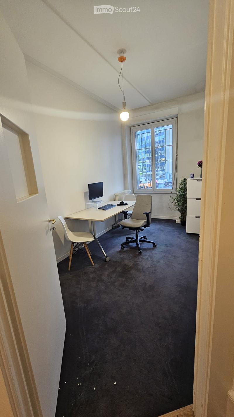 Office space with a desk, computer, chairs, radiator, plant, and cabinet.