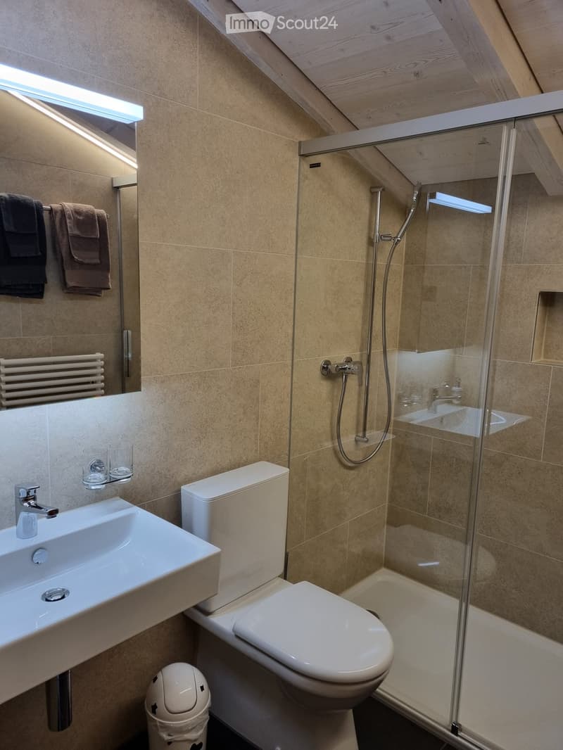 Bathroom with a glass shower enclosure, white toilet, and a white sink with a faucet. A mirror and towel rack are mounted on the wall, and a trash can is placed near the sink.