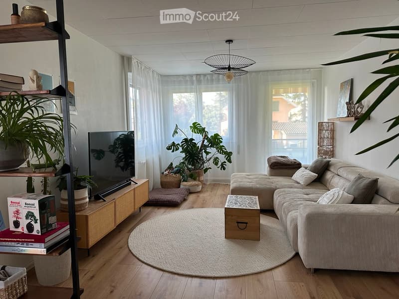 Modern living room with a sectional sofa, coffee table, television, bookshelf, potted plants, and a round rug.