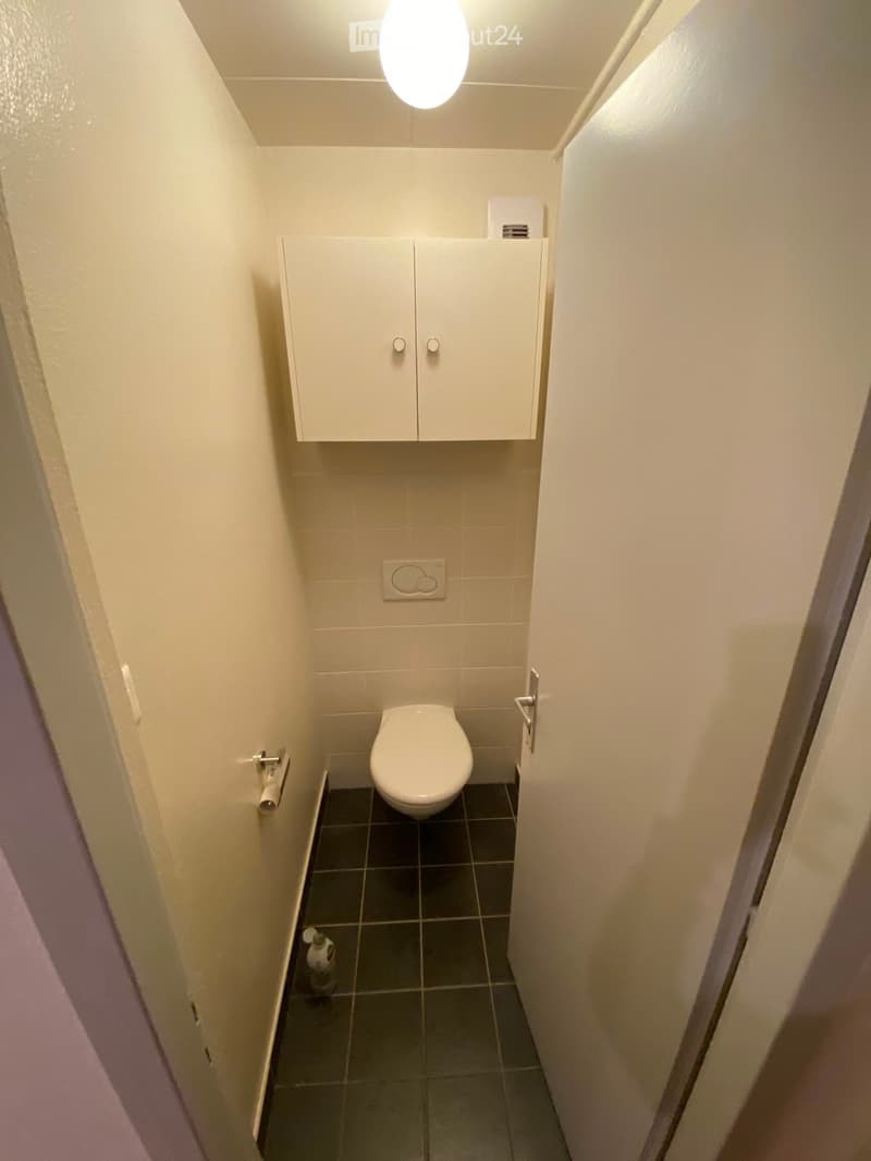Compact bathroom with a toilet, overhead cabinet, and a small light fixture. The walls are tiled in beige, and the floor is dark grey tiles.