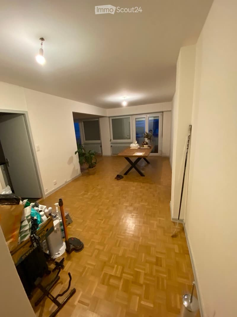 A well-lit hallway with wooden flooring, a small table with a plant, and a vacuum cleaner near the entrance.