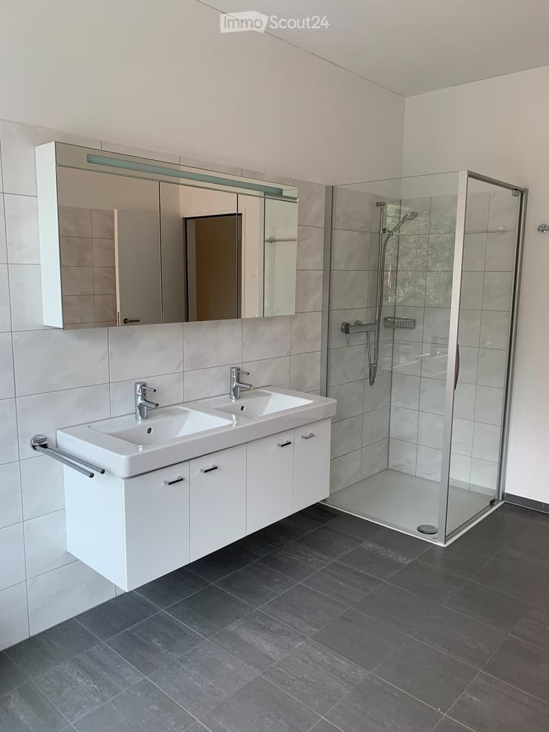 Modern bathroom with double sink, large mirror, glass-enclosed shower, and dark tiled floor.