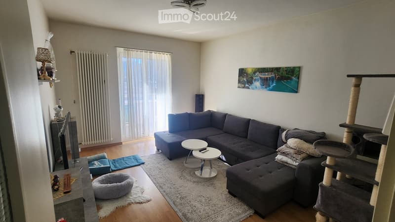 A modern living room with a dark blue sectional sofa, two white coffee tables, a cat tree, a cat bed, a lamp, a picture frame, and a radiator.