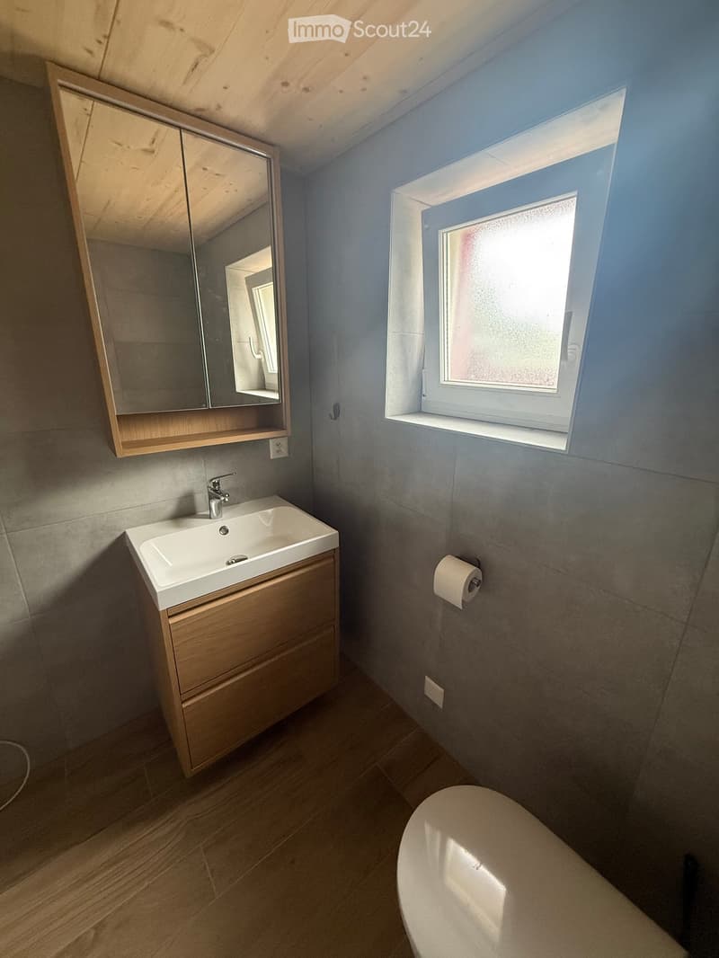 Modern bathroom with a white sink, wooden cabinet, mirror, toilet, and a frosted window letting in natural light.