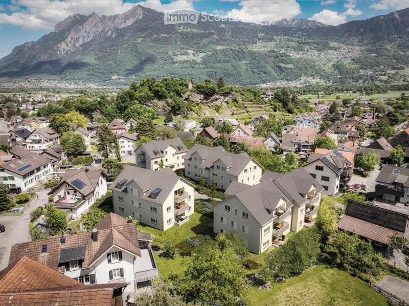 Aerial view of a residential area with multiple houses, surrounded by greenery and mountains in the background.