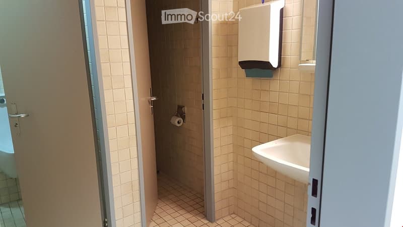 Bathroom with sink, toilet paper holder, and a toilet visible through the door