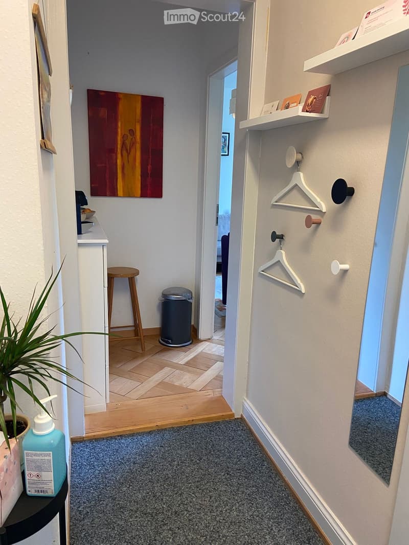 Hallway with wooden flooring, grey carpet, white walls, coat hooks, shelves, and a small table with a plant and bottle of hand soap.