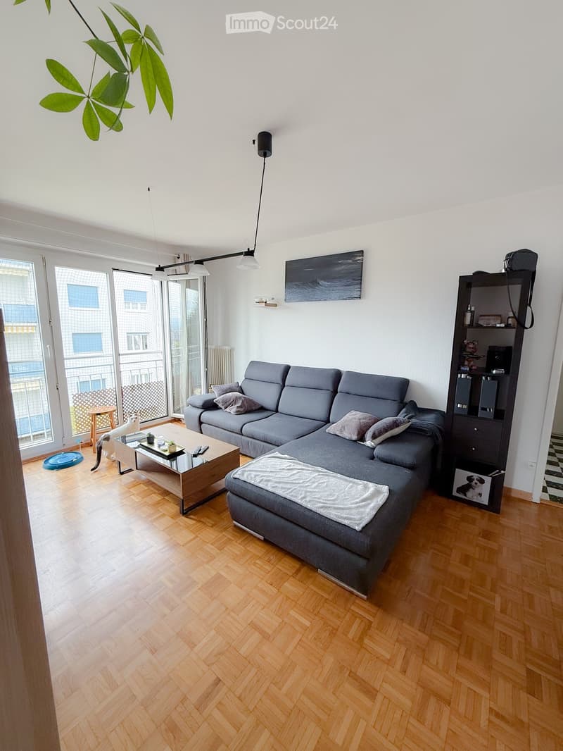 Modern living room with grey sectional sofa, wooden coffee table, cat, bookshelf, and large windows leading to a balcony.