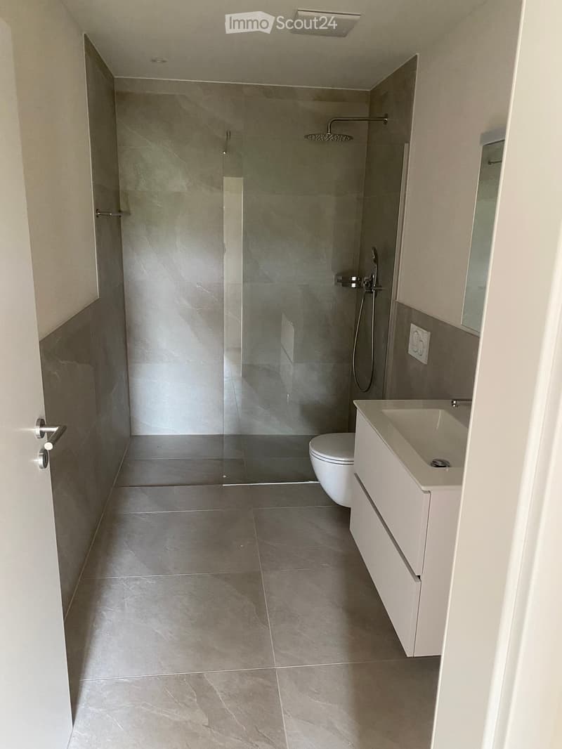 Modern bathroom with grey tiled floor and walls, featuring a glass-enclosed shower, a white toilet, and a white sink with a modern faucet.