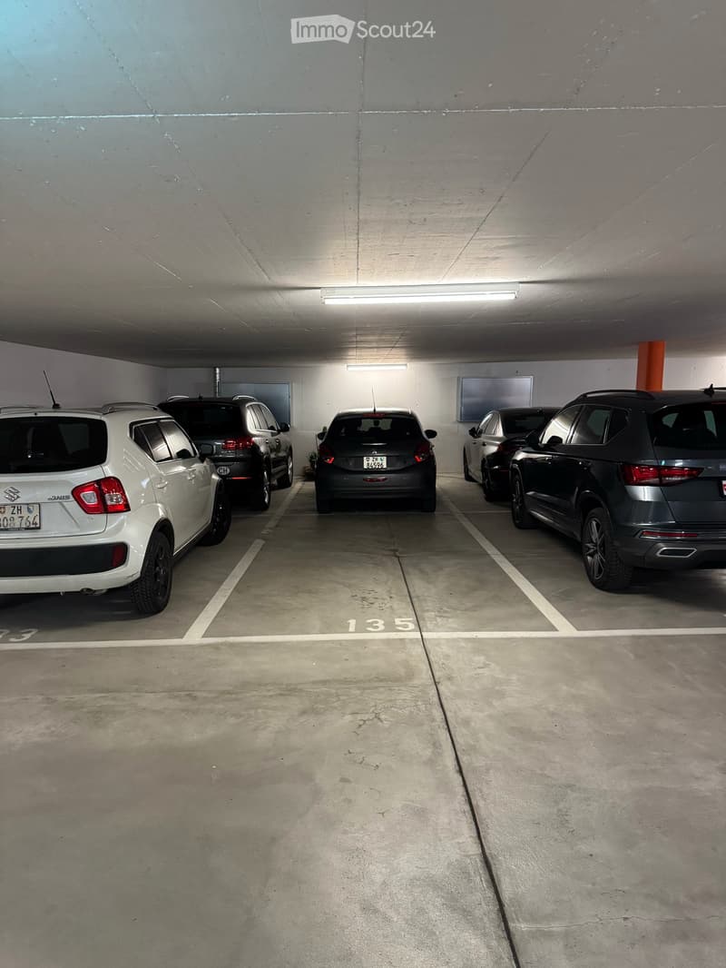 Un appartement qui laisse à peine des souhaits insatisfaits. 4,5 pièces avec 165 m2 à Elgg (12)