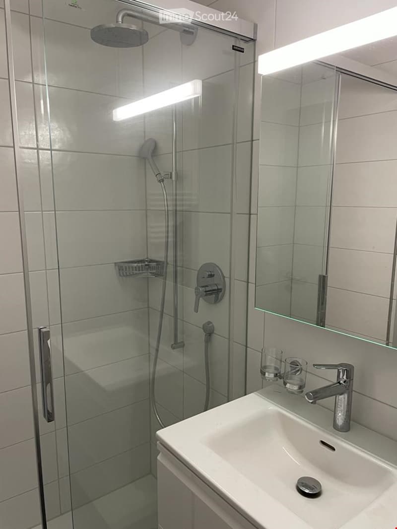 Modern bathroom with a white sink, chrome faucet, large mirror, and a glass-enclosed shower with a handheld showerhead and fixed showerhead.