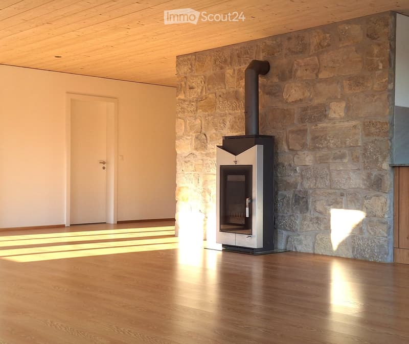 Empty room with wooden flooring, a stone wall, and a modern fireplace with a chimney pipe.