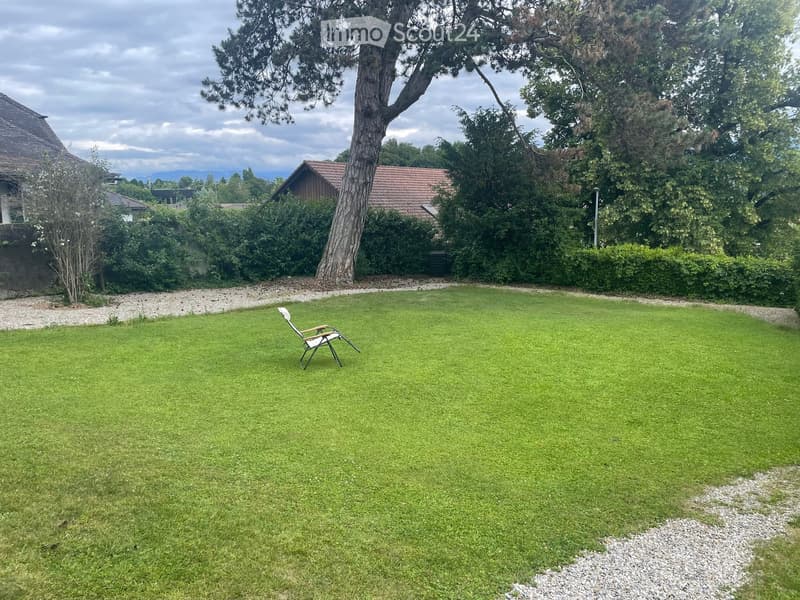 Well-maintained lawn with a single white and black folding chair, surrounded by trees and bushes, with a house and additional structures visible in the background.