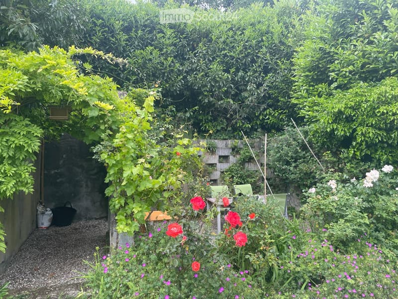 A lush garden with climbing vines, colorful flowers, and a small seating area with green chairs and a table.