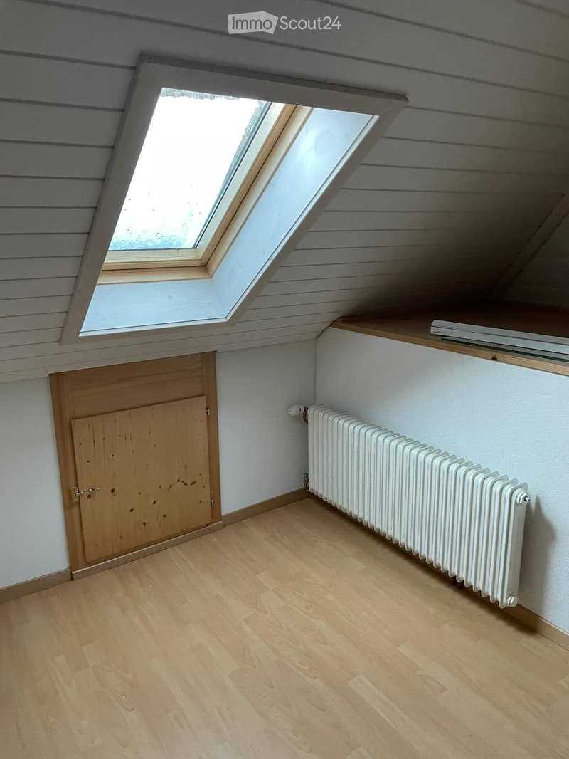 Empty attic room with wooden flooring, white walls, a wooden door, a white radiator, and a skylight window.