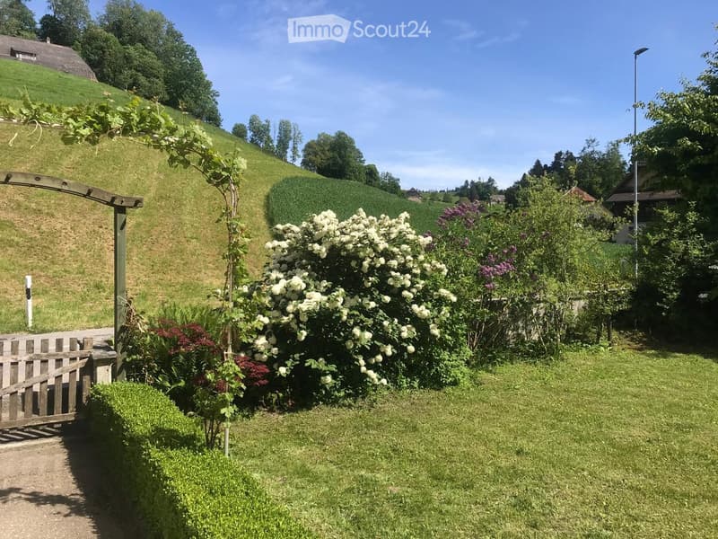 Well-maintained garden with lush greenery, flowering bushes, a wooden gate, and a raised hillside in the background.