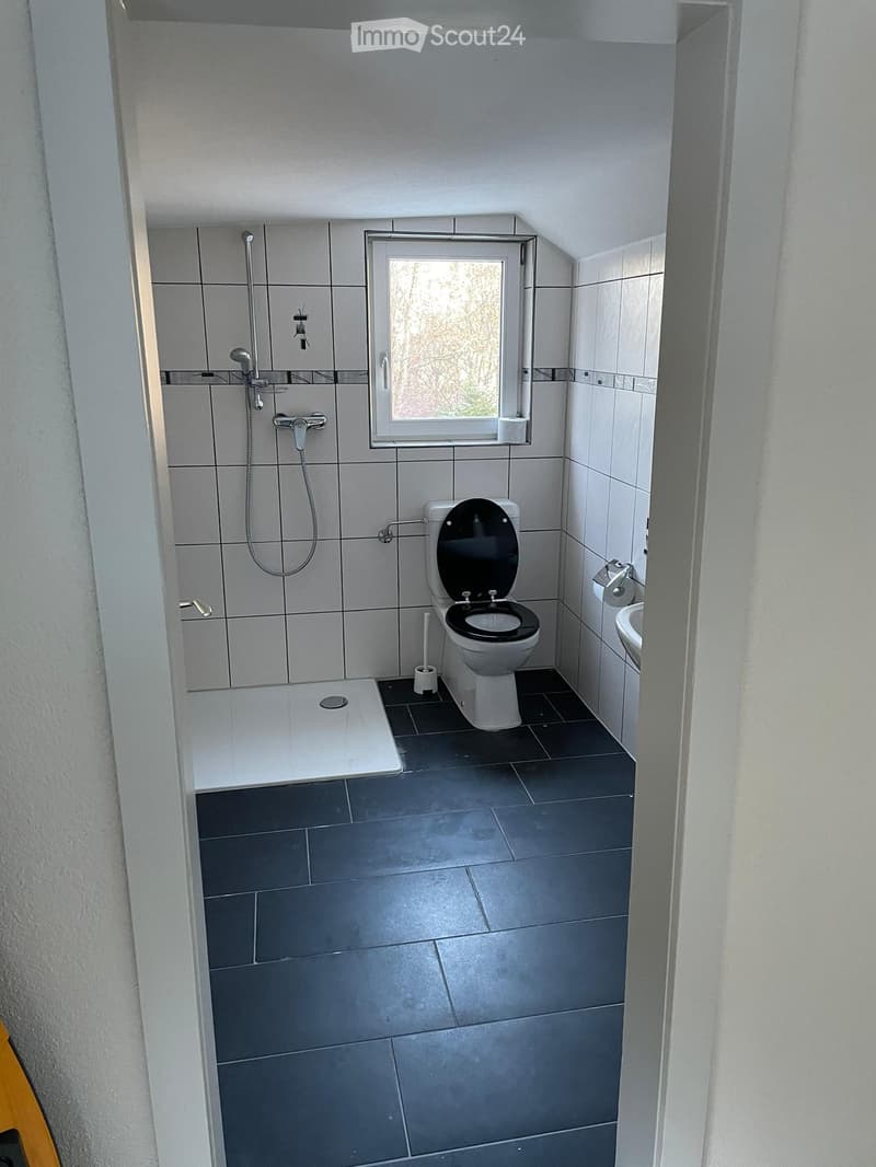 Modern bathroom with grey tiled walls and floor, featuring a toilet, shower area, and a window with frosted glass.